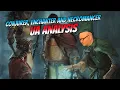Enchanter Conjurer and Necromancer Revised UA Analysis