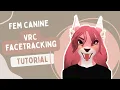 Fem Canine VRChat Facetracking Tutorial