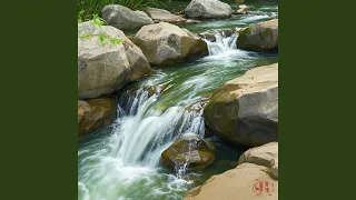 فلوت در مه دندنها