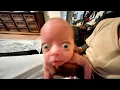 1 hour of memes but you will laugh every second
