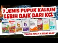 Lagu LEBIH BAIK DARI KCL.❗❗❗ REKOMENDASI 7 JENIS PUPUK KALIUM BEBAS KLORIN | Untuk Semua Tanaman