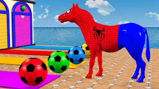 Rainbow Horse Race — Score the Ball in the Right Color Garage!