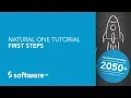 Natural ONE Tutorial - First Steps
