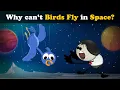 Download Lagu Why can't Birds Fly in Space? + more videos | #aumsum #kids #science #education #children