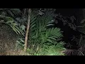 Download Lagu Aku diajak kesini lagi