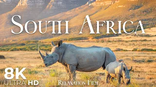 South Africa 8K • From Cape Town to the Wild Savanna | Relaxation Film