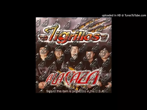 Download MP3 Tigrillos La Ética