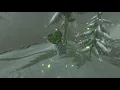 Korok seeds Hebra Tundra Hebra Tower Zelda BOTW