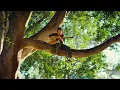 Newport - INTERSTATE (Official Video)