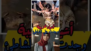 أغرب الأشياء التي وجدت على الشاطئ 