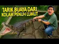 BUAYA SENYULONG TIBA-TIBA MUNCUL DI KOLAM LUMUT! KONDISI KAMPUNG SATWA YOGYAKARTA 2O25!