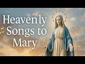 Download Lagu Beautiful Marian Songs : Gentle and Inspiring Hymns to Honor the Blessed Virgin Mary 🎶