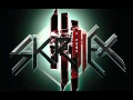 Download Lagu Skrillex - New Mix! 2013 (Unreleased)