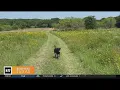 Popular app lets North Texas families turn their backyards into dog parks