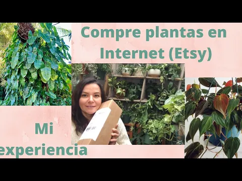 Download MP3 Compre plantas en Internet ( Etsy). Mi experiencia