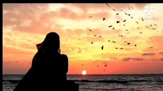 عباس السحاقي تمشي وياي وتحجي بضدي جديد حزينه جدا للمجروحين  عباس السحاقي تمشي وياي وتحجي بضدي جديد حزينه جدا للمجروحين