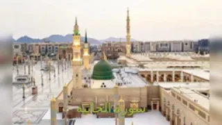سورة الجاثية الشيخ ماهر علوان دندنها