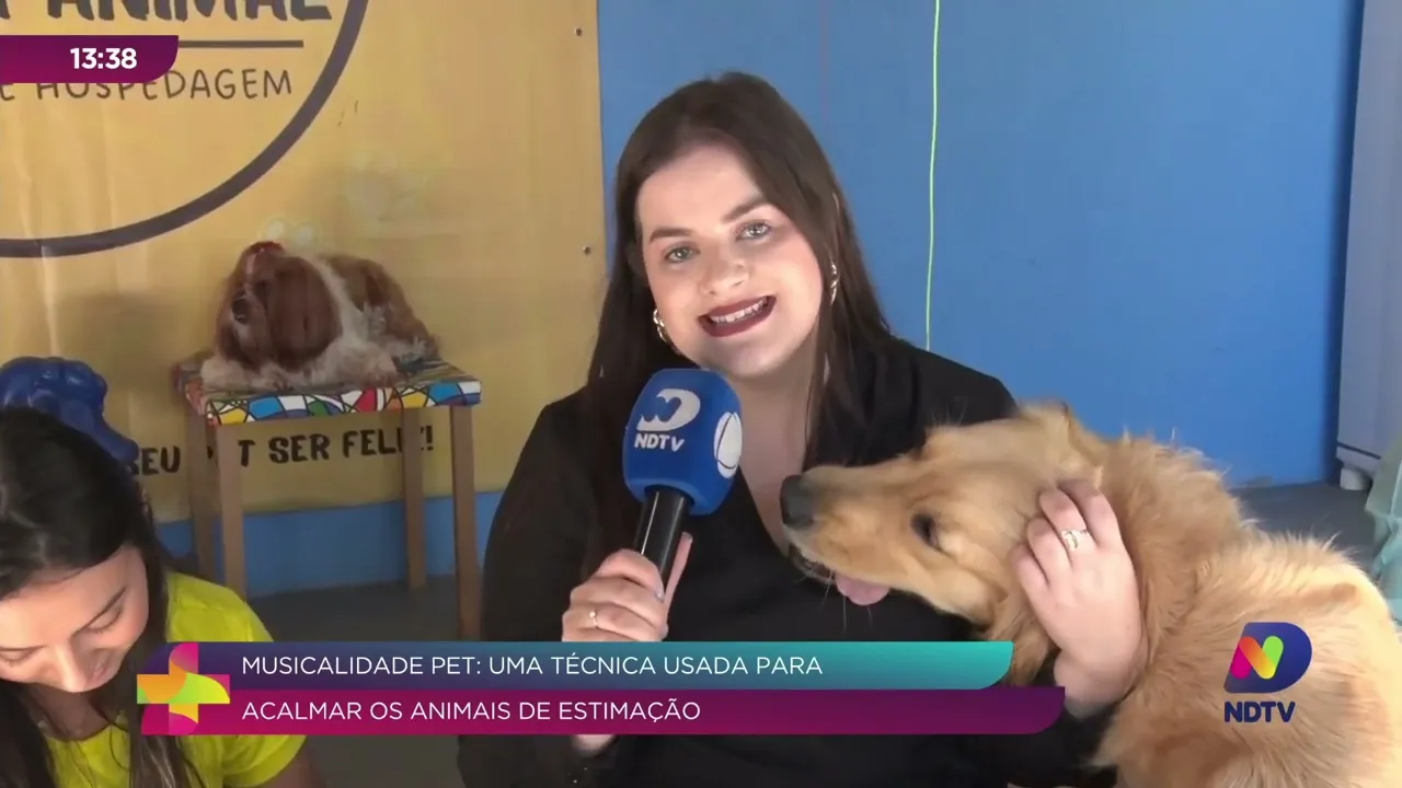 Música para Pets: Como Acalmar seu Animal de Estimação com Sons Harmoniosos