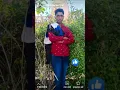 Download Lagu gurjar is king hansraj gurjar