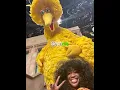 SZA on visiting Sesame Street