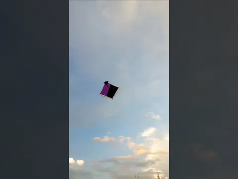 kite looting in morning 😱।। #shorts #kitelooting #kite #patang #patangwala #looting #fun
