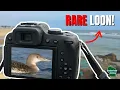 We Found A Rare Bird on the Jersey Shore
