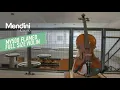 Mendini by Cecilio 500 Violin