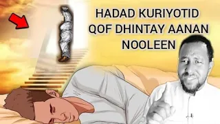 HADAD KURIYOTID QOF DHINTAY ANAN NOOLEEN SH BACADLE  HADAD KURIYOTID QOF DHINTAY ANAN NOOLEEN SH BACADLE