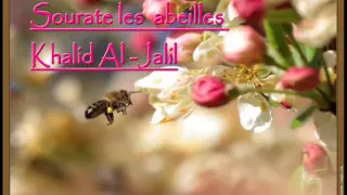 Khalid Al Jaleel 16 Surah An Nahl Full تلاوة تفوق الوصف الشيخ خالد الجليل سورة النحل كاملة 