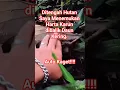 Download Lagu Rejeki Tak Kemana