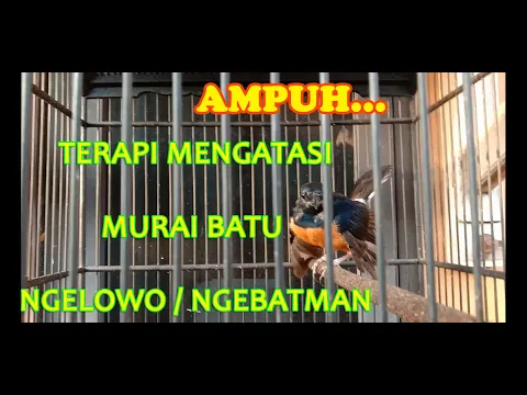 TERAPI MENGATASI MURAI NGELOWO NGEBATMAN