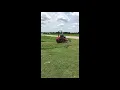 KUBOTA ZD331 For Sale