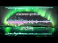 Download Lagu campursari pring kuning audio spectrum