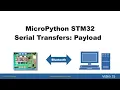 STM32 MicroPython - Serial Transfers using Serialization between STM32 and Desktop