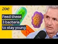 NEW gut science 3 bacteria that keep your heart healthy Prof Tim Spector Prof Nicola Segata