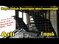 Download Lagu Suara burung Bubut