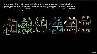 Breeding Prepotency explained