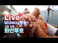 Download Lagu 고흥 문어 낚시