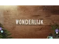 Download Lagu Wonderlijk | Sela
