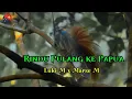 Lagu rantau || Rindu Pulang ke Papua || Luki Magai x Marse Magai official video🎥 Musik 2025
