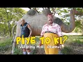 Download Lagu WOKO CHANNEL | PAK NDUT Ft. MUKIDI - PIYE TO KI? (Official Music Video) Kowe Nyusu Nyusu