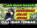 Lagu SUARA BURUNG JALAK SUREN GACOR FULL ISIAN EFEKTIF untuk MASTERAN PANCINGAN JALAK AGAR CEPAT GACOR