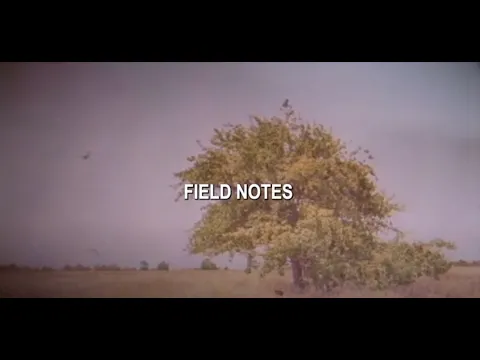 Download MP3 Owl City | Field Notes (Official Lyric Video) #FieldNotes #OwlCity