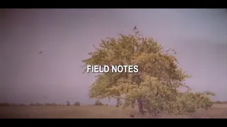 Download Owl City | Field Notes (Official Lyric Video) #FieldNotes #OwlCity MP3