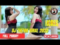 Download Lagu DJ LADY ROSE TIKTOK VIRAL 2025