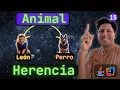 Si no entiendes HERENCIA en JAVA mira este