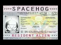In the Meantime - Spacehog (Remastered 2022)