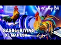 GASAL GASAL BIYING BIYING dj mahesa dj music lagu Bali