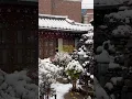 Download Lagu my grandparent’s hanok in the winter ❄️#hanok #seoul #snow #winter