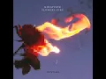 flowers-fire (rework)